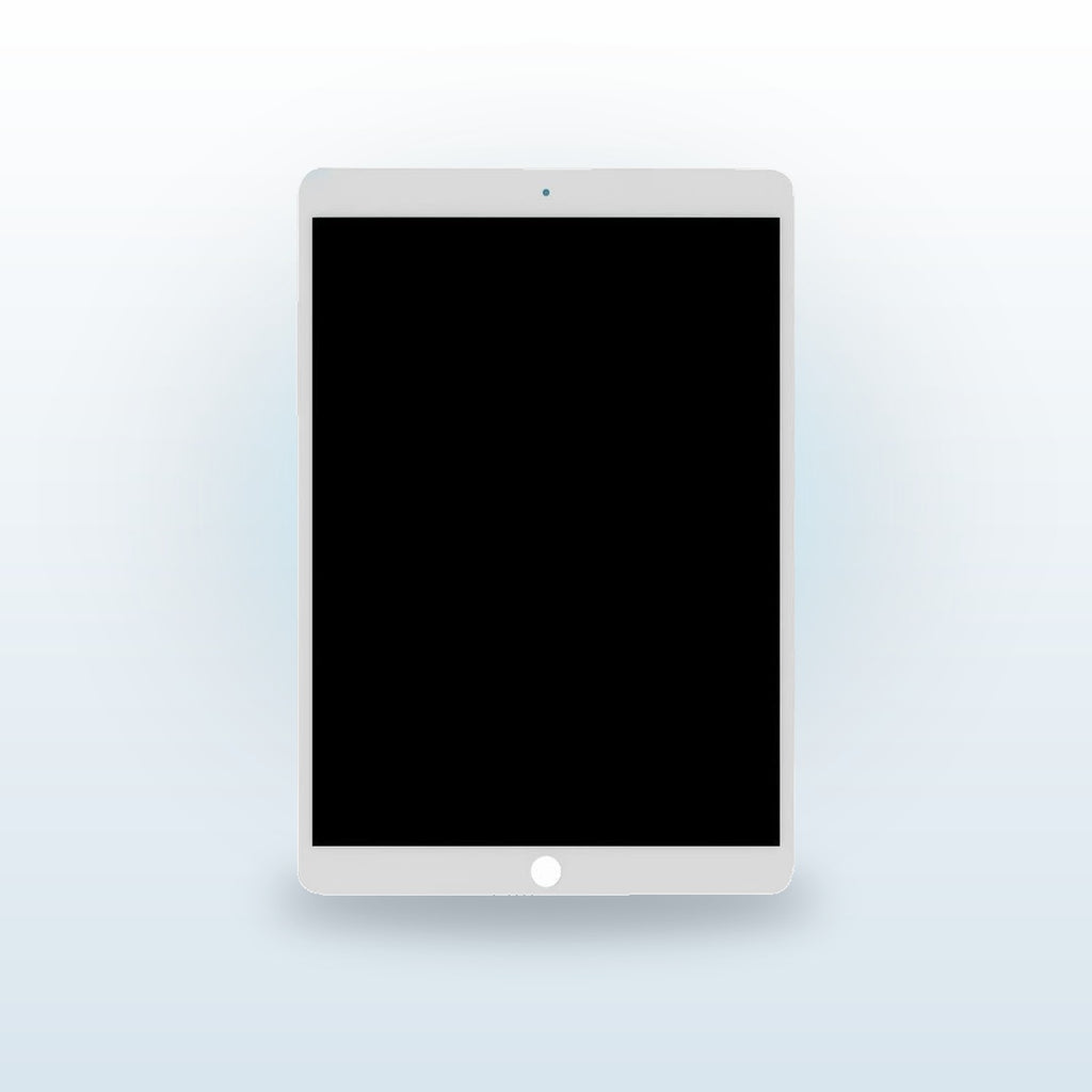 Pantalla LCD iPad 10 / iPad 11 (2022-2025)