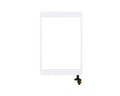 Táctil iPad Mini 1 & 2 (2012-2013) Blanco