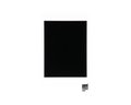 Pantalla LCD + Tactil iPad Mini 5 (2019) Blanco